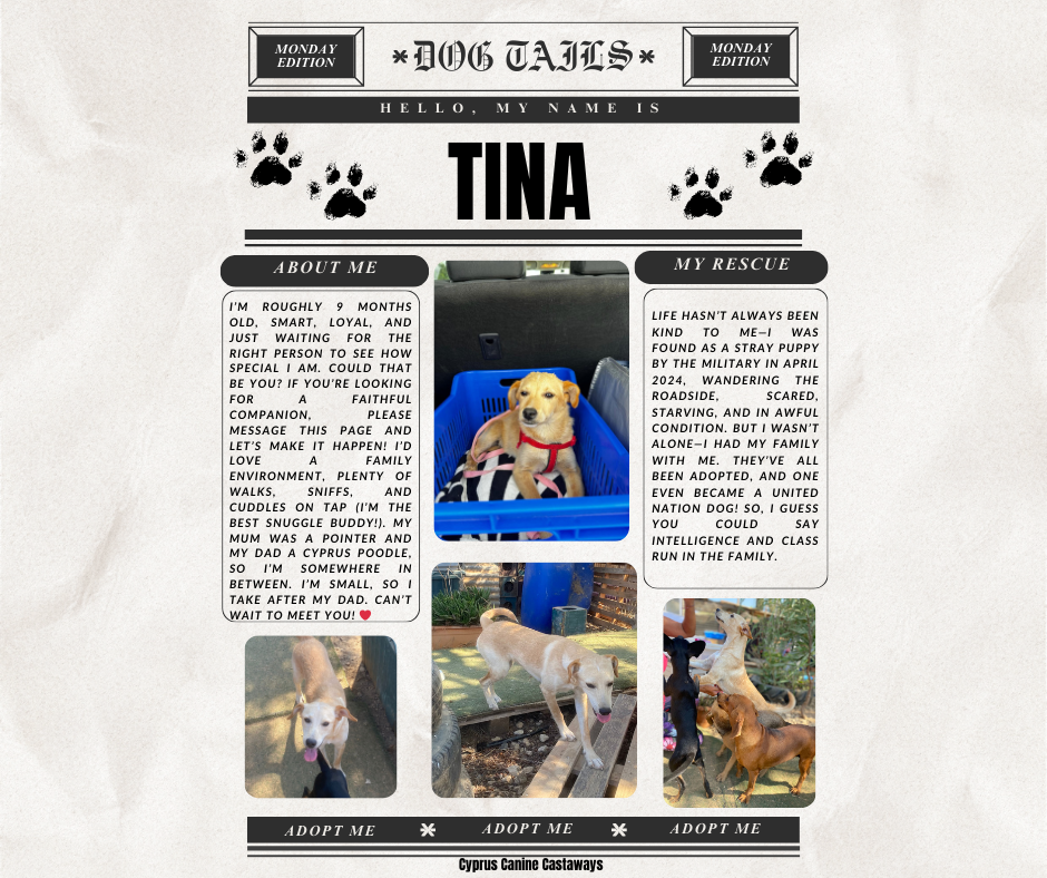 TINA-BULLETIN