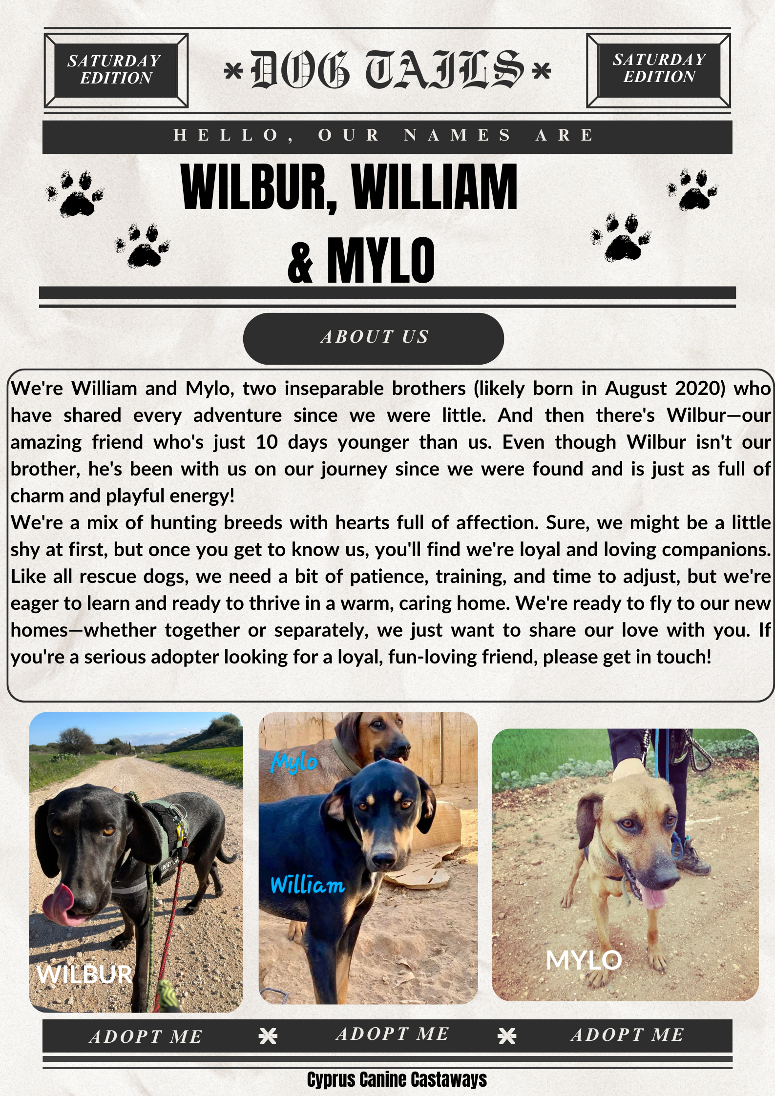 WILLIAMMYLOWILBUR-bulletin-1
