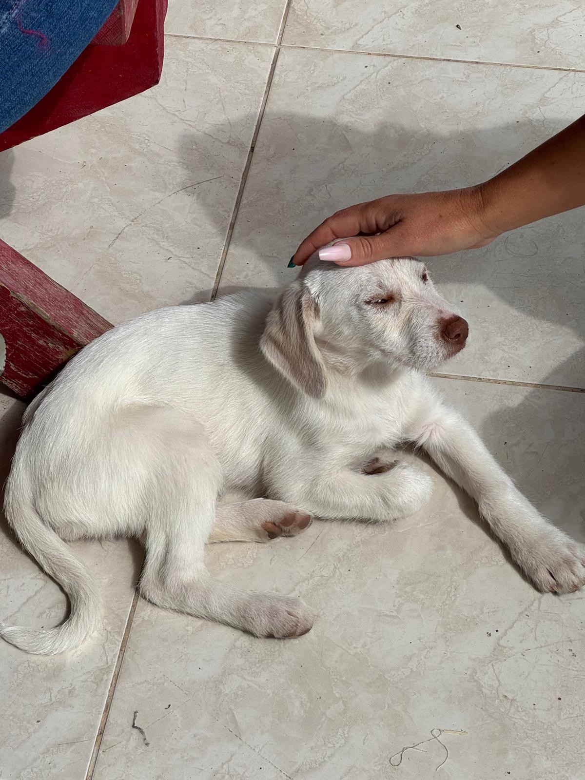 c3ba6e22-a390-4708-b588-c73f76b362f4