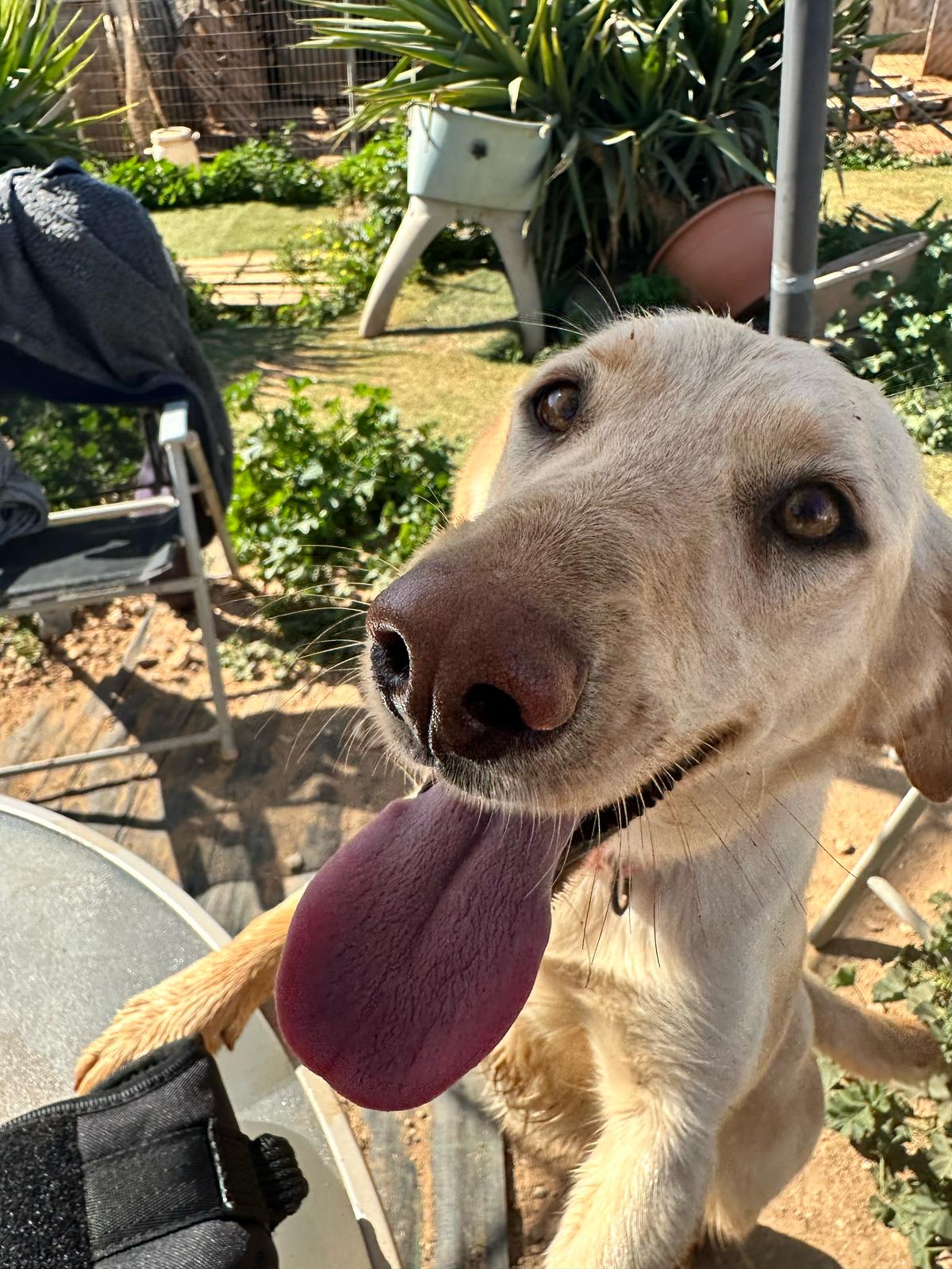 c4bef9ab-2cdb-4d65-957b-76af1308abbc