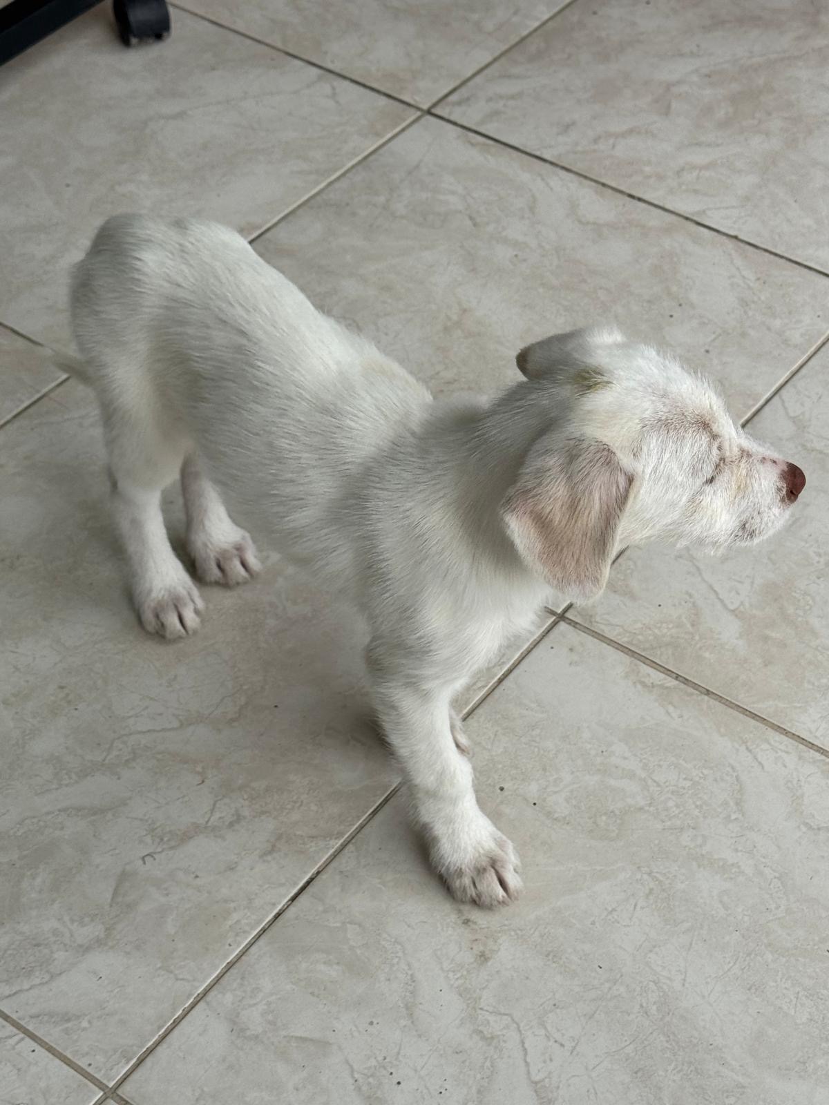 d48d630a-f0ec-4ad8-86db-9c09e51af0a9