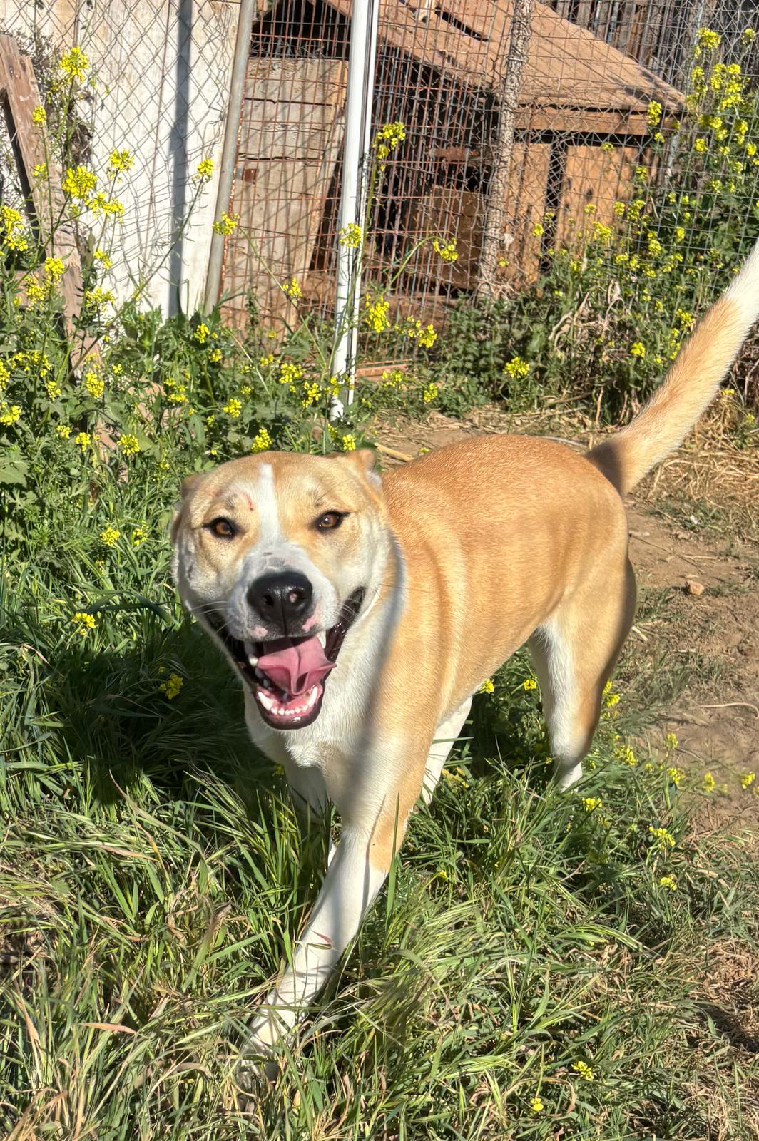 d785af24-5ad9-462a-be0e-9393c4074c2d