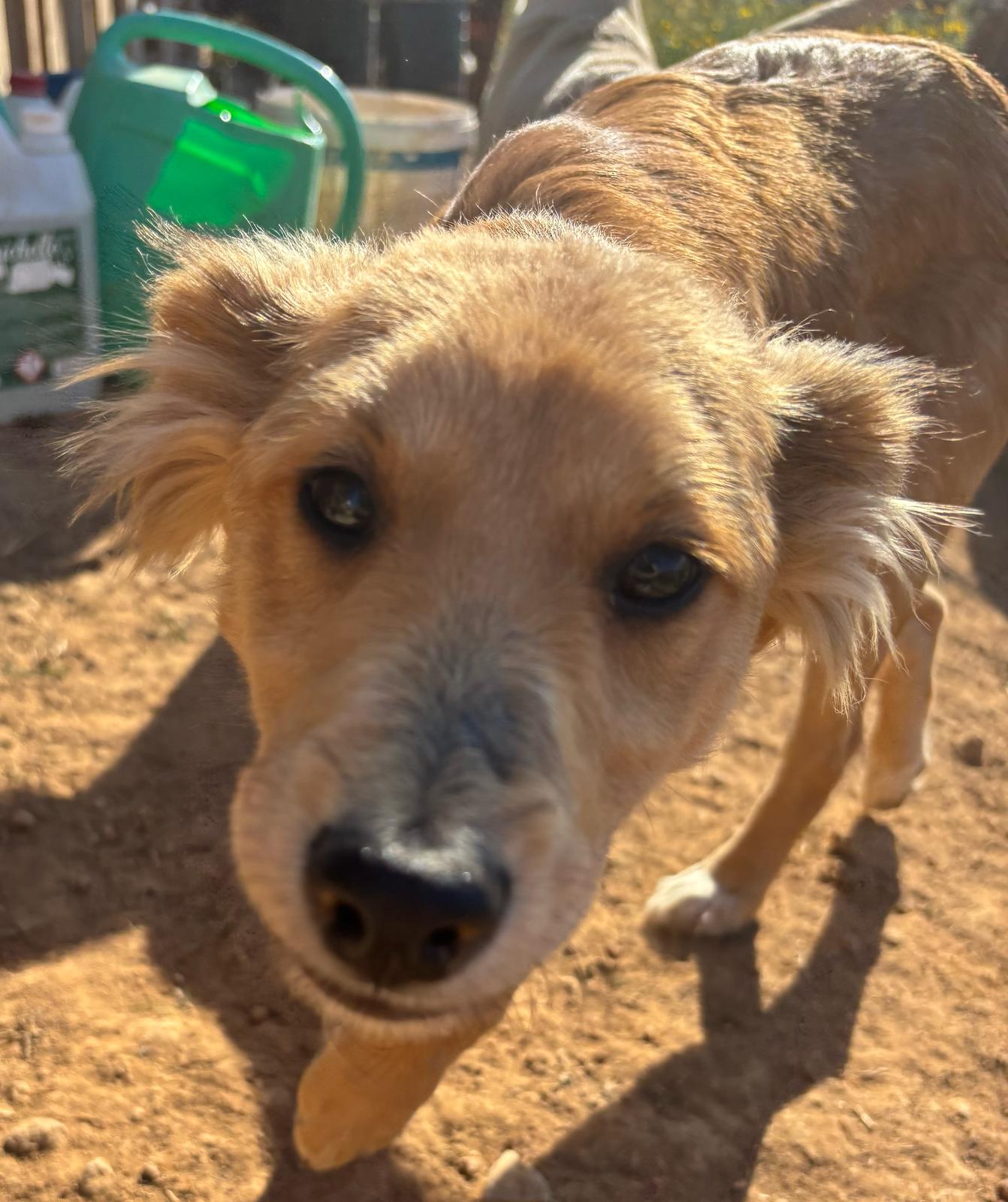 e7fb63a4-22ce-4eb9-8ce5-8bf7d51ecfce