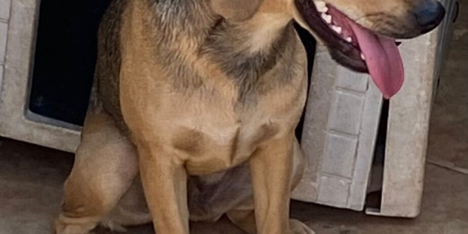 kody4