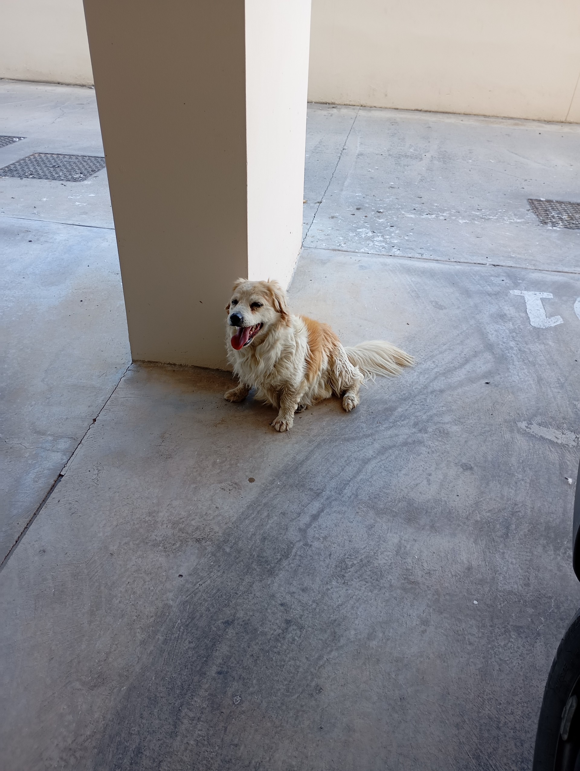 thumbnail_1000018226