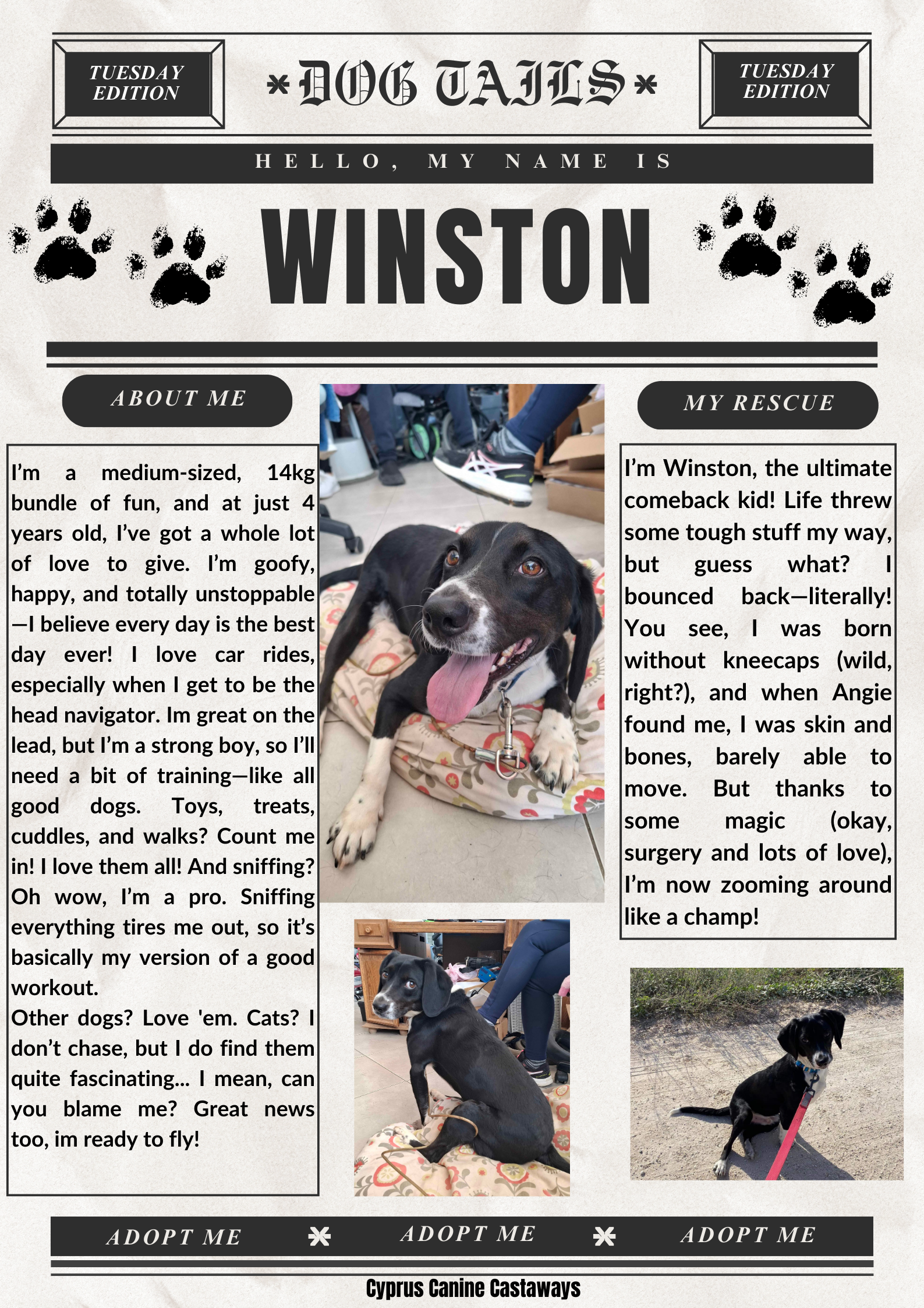 winston-bulletin-1