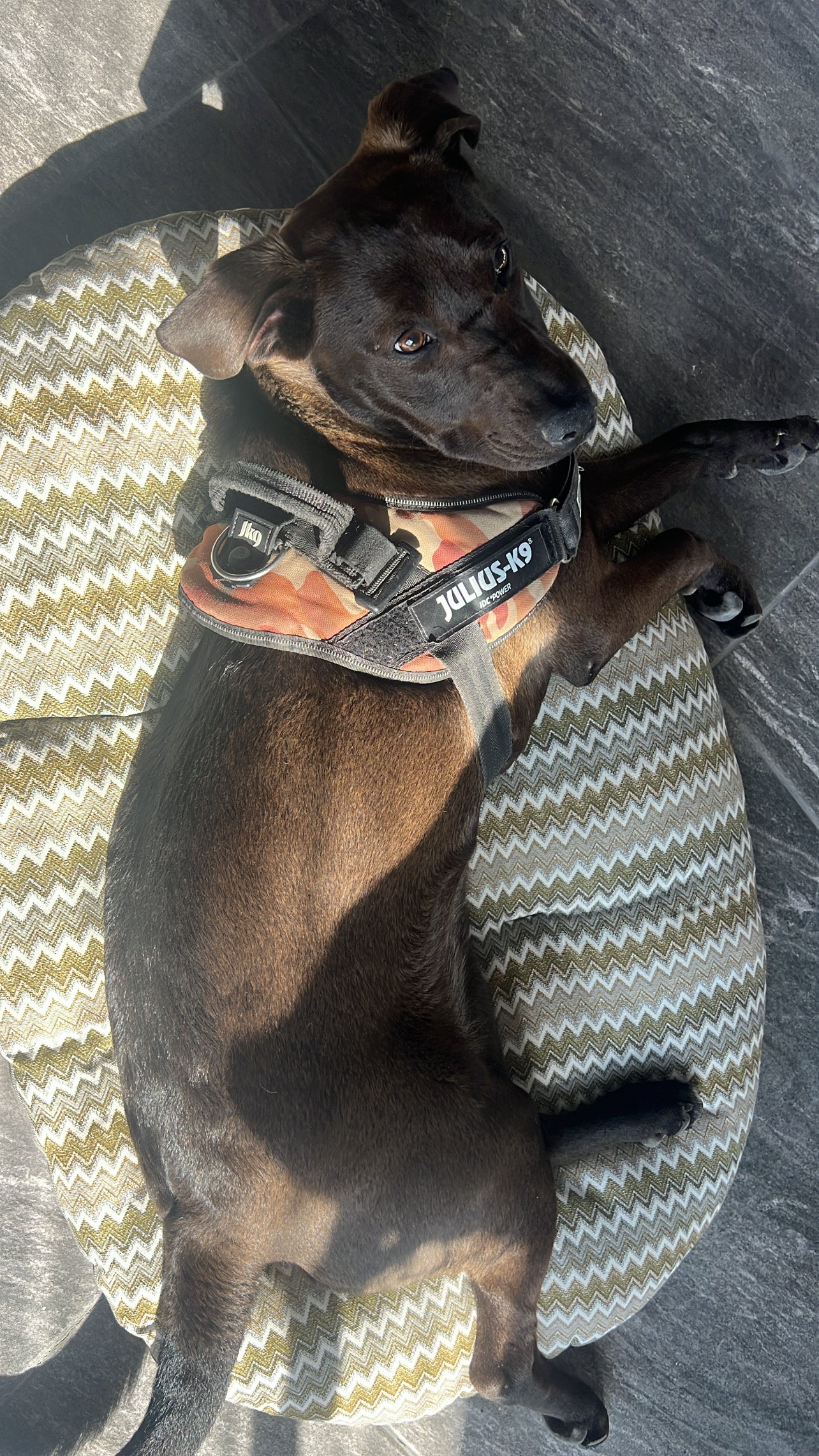 81FF8A5B-9B4C-448C-988A-B9D79262A9CF