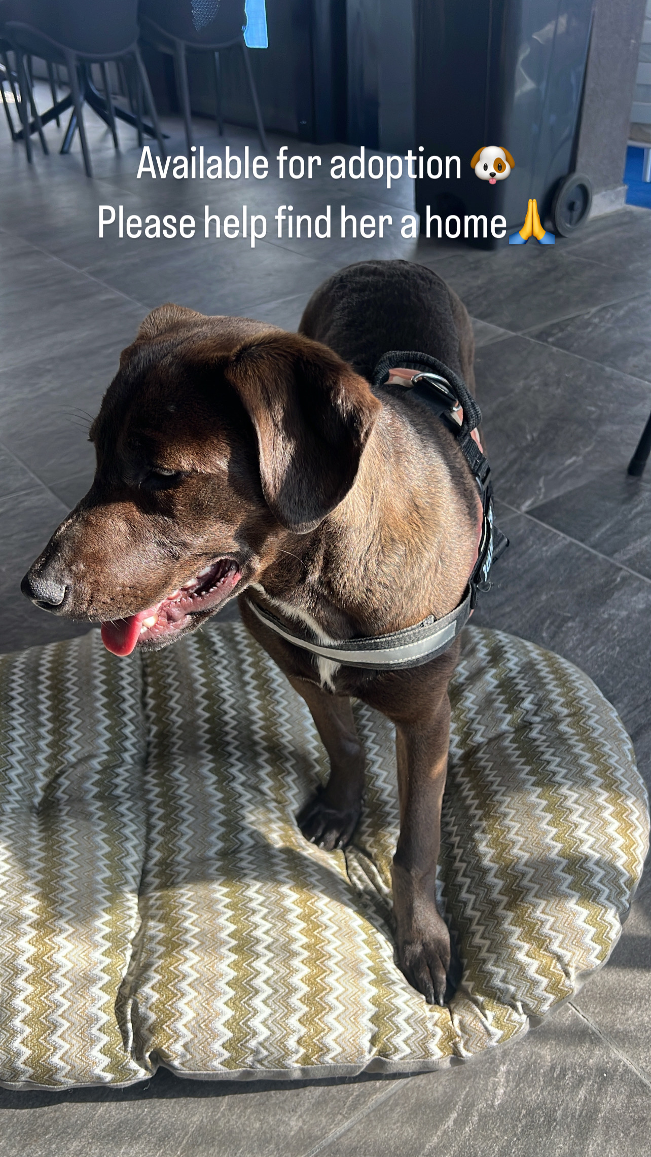 EE60522C-E24A-49CE-B986-B77491A7544B