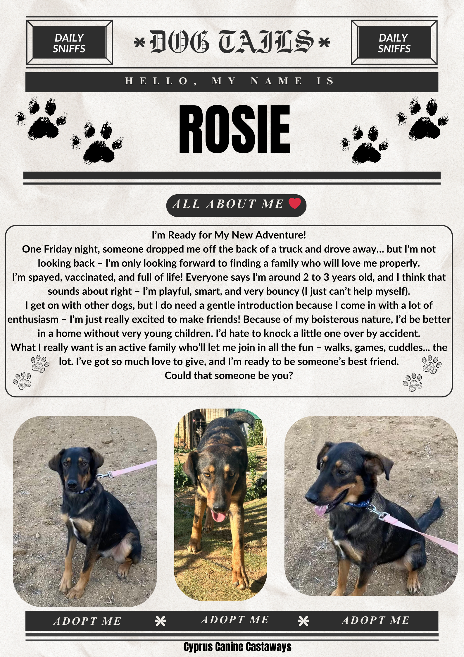 ROSIE-BULLETIN5