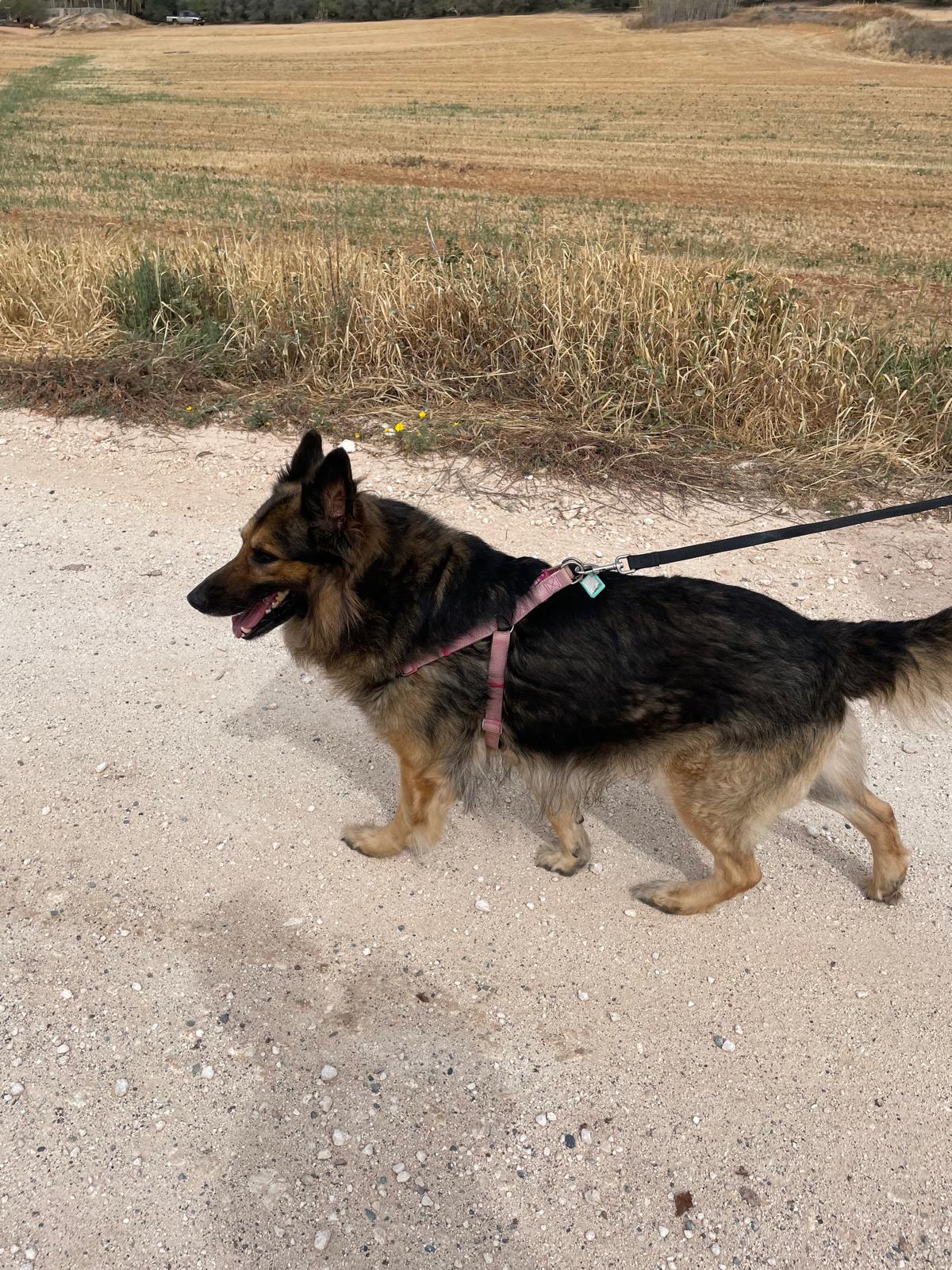 e4162765-1b89-4678-b500-aa9a32fffd30