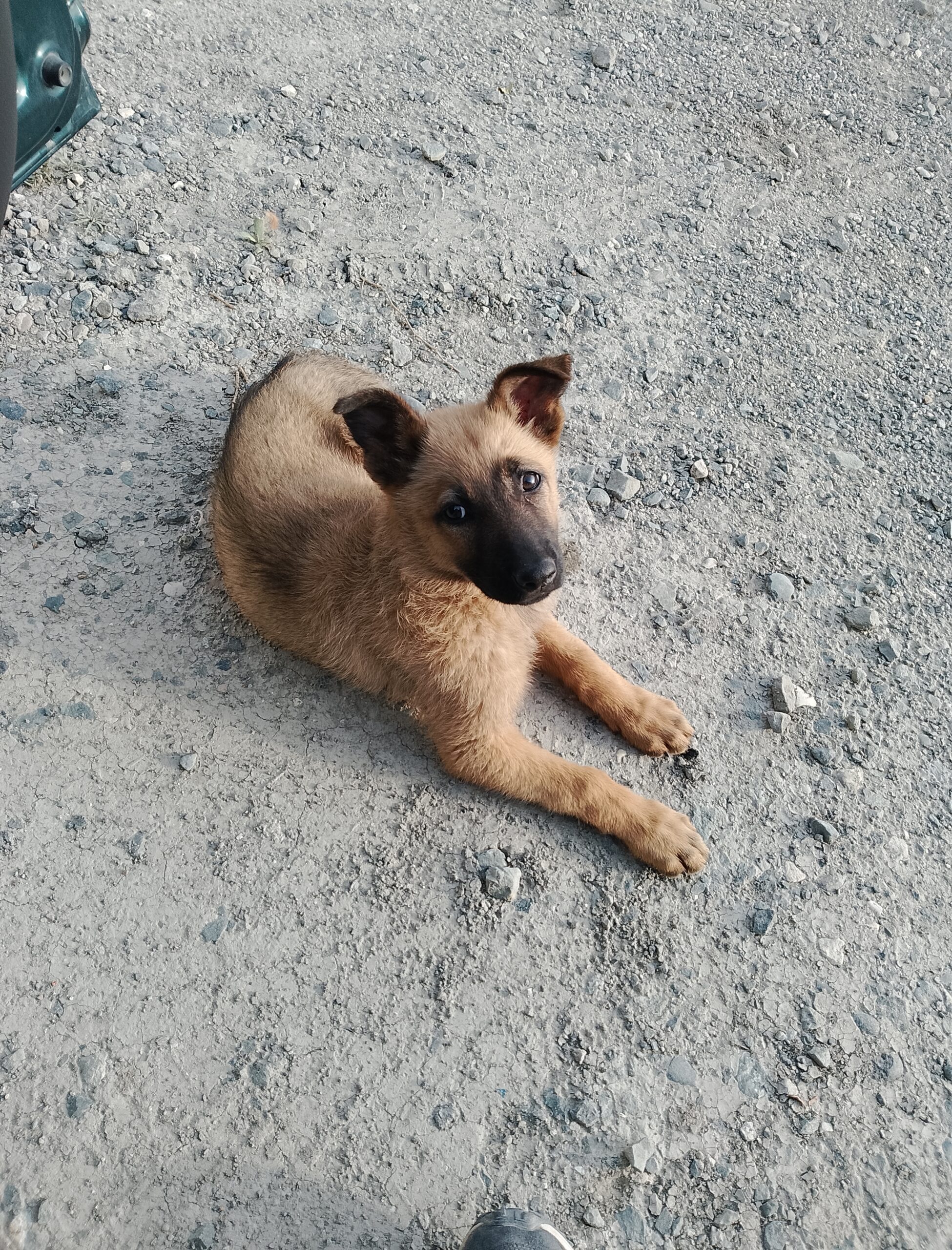 inbound4074676735652860042