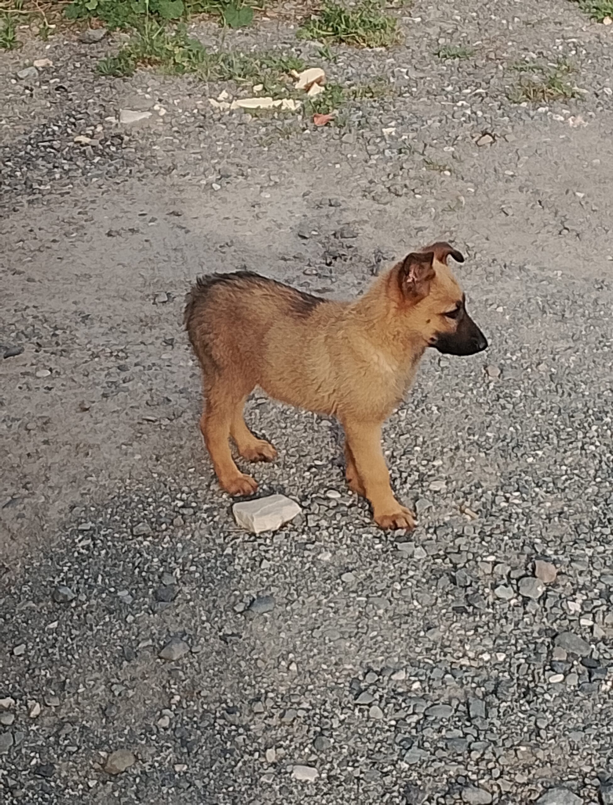 inbound5749418711372856267