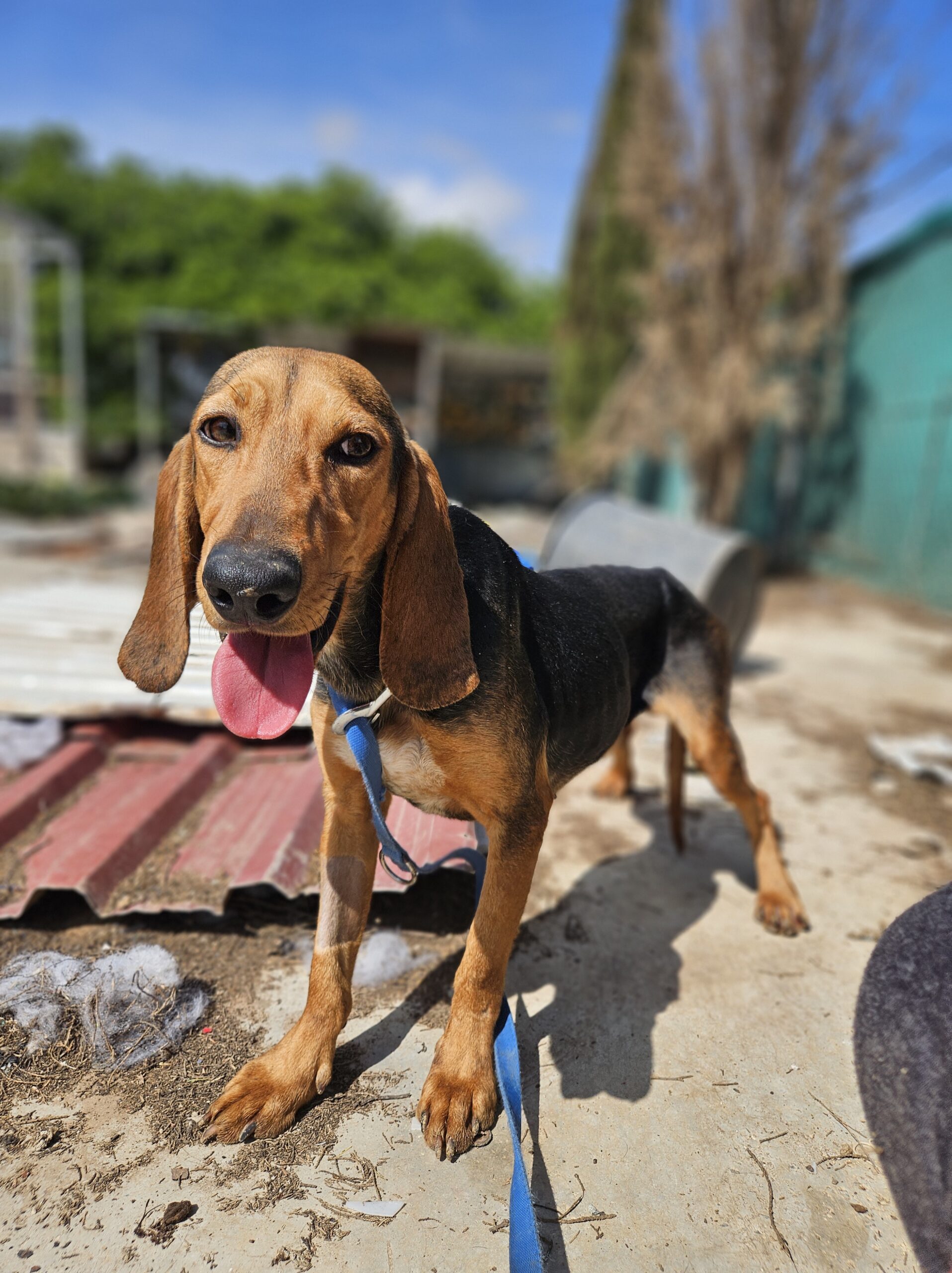 received_644295288251364