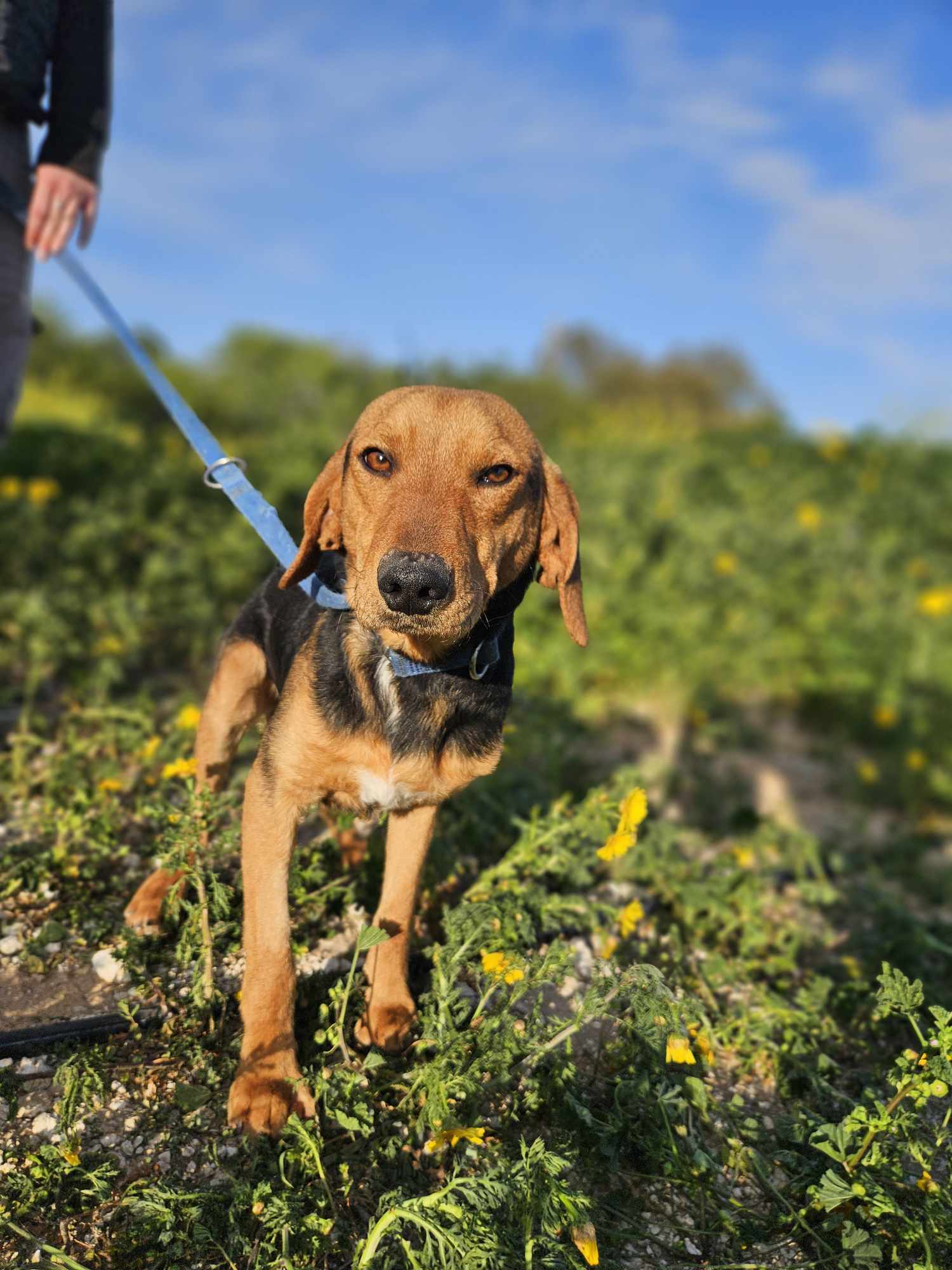 received_667171715678494