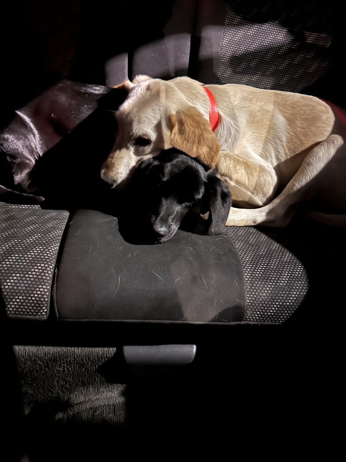 viber_image_2025-04-12_21-33-45-905