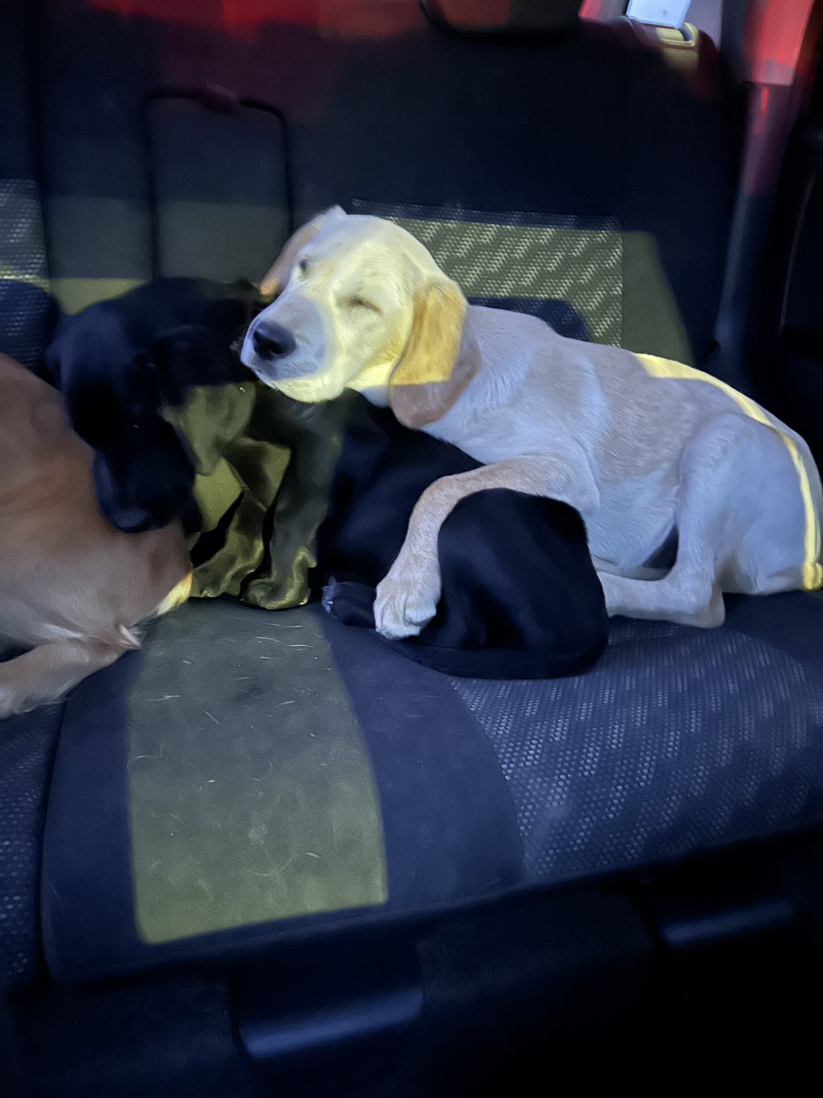 viber_image_2025-04-12_21-33-46-853