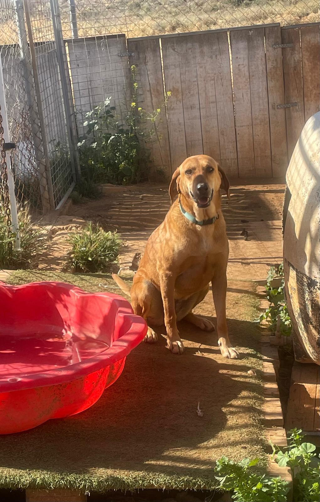 068776e4-b5b1-427c-be1a-1d2feca6fe68