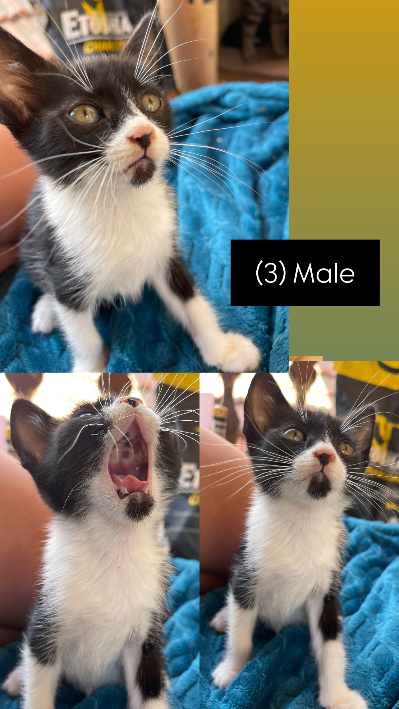 25F95C6D-8280-431F-83C1-5DFEED86A14F