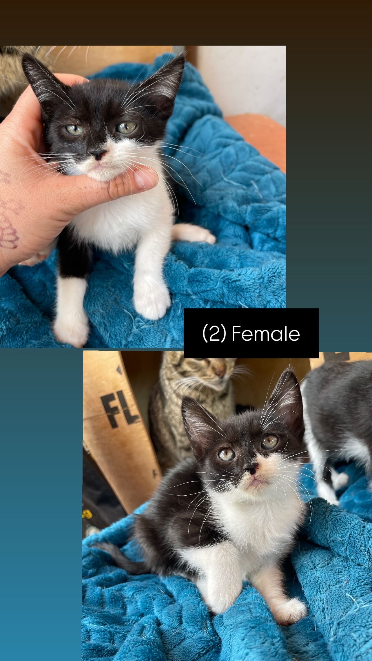 37FBB0C4-465E-465A-AD20-1D27440560AD