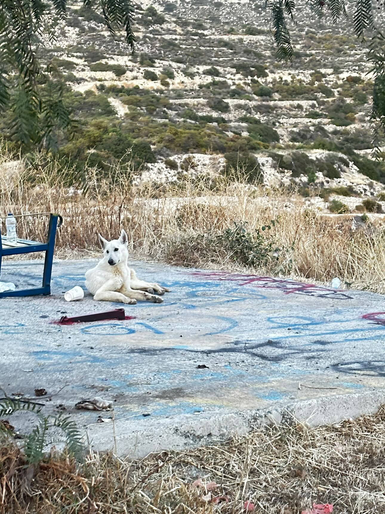 391BCD1D-92BC-4C77-981C-25805A52B762