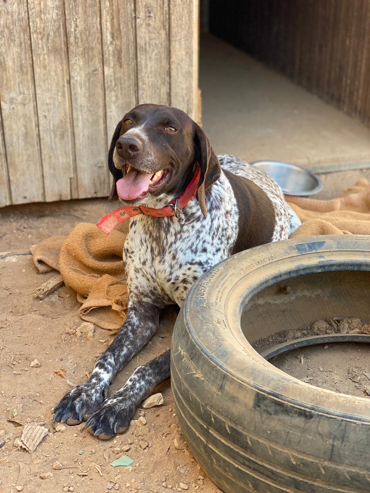 476147625_1054522836713765_5611118771824309057_n