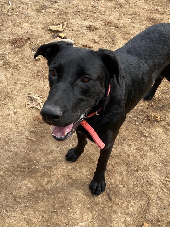 476225268_1053214906844558_6747102203694473646_n