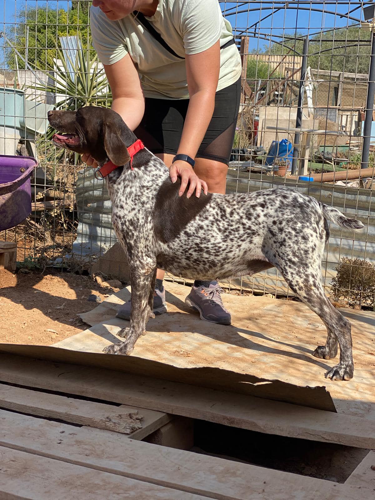 476366369_1054522460047136_6936958275641187507_n