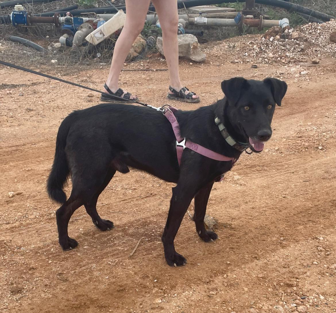 476641767_1055105786655470_1568447089828254434_n