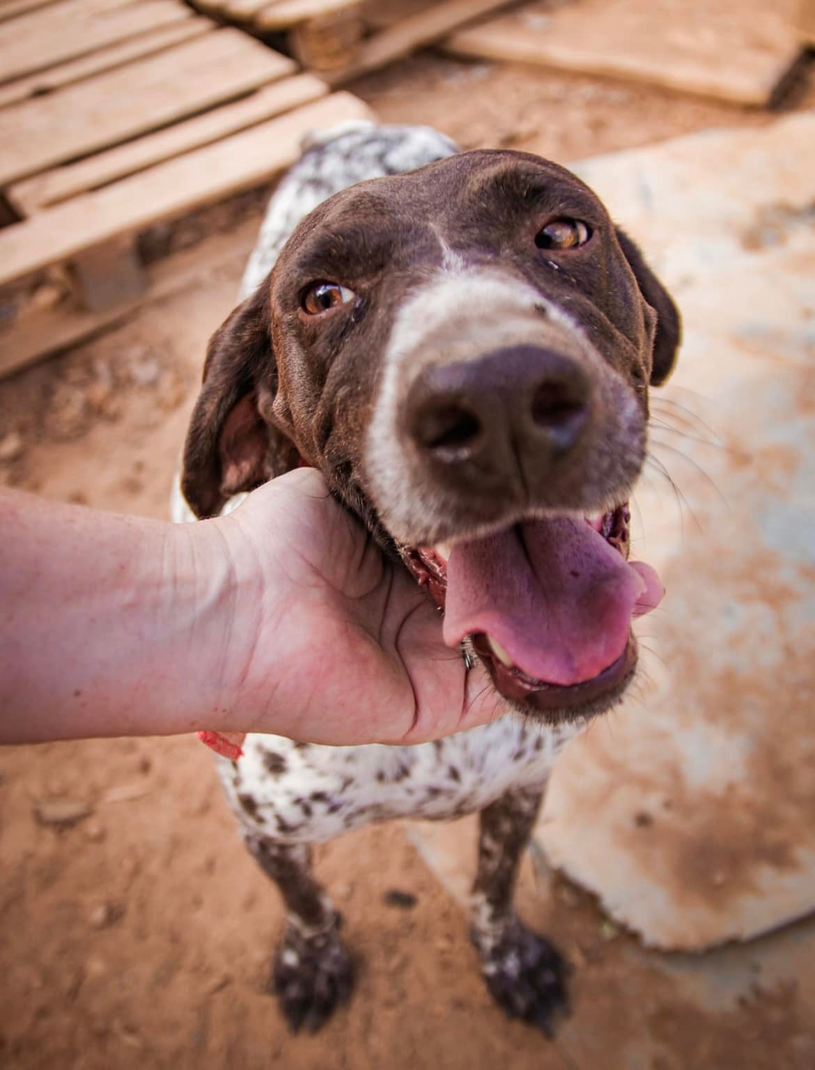 476643756_1054522410047141_8145900390808228795_n