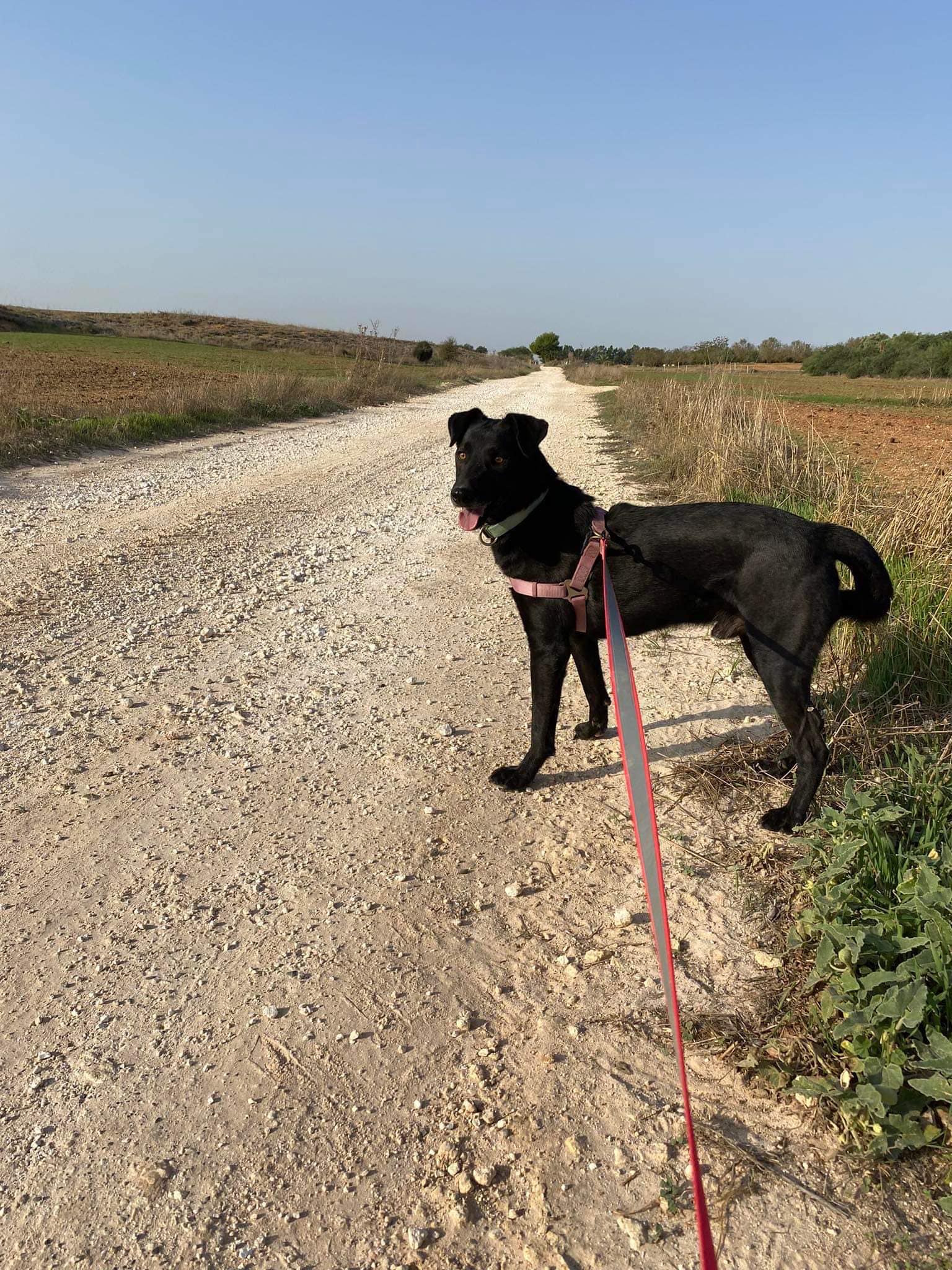 477243867_1056390916526957_4734686427509023817_n