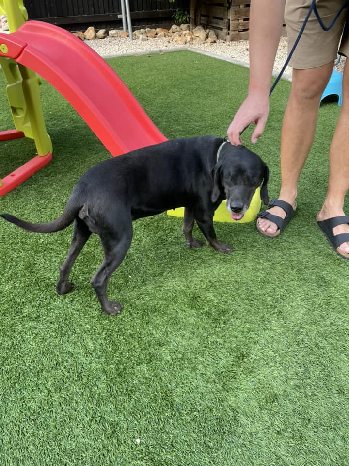 480137165_1058412689658113_277895097430973096_n