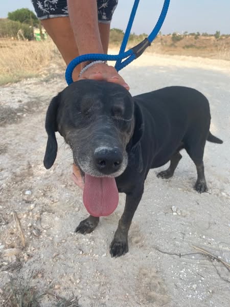 483510474_1080358257463556_1589135714003838154_n