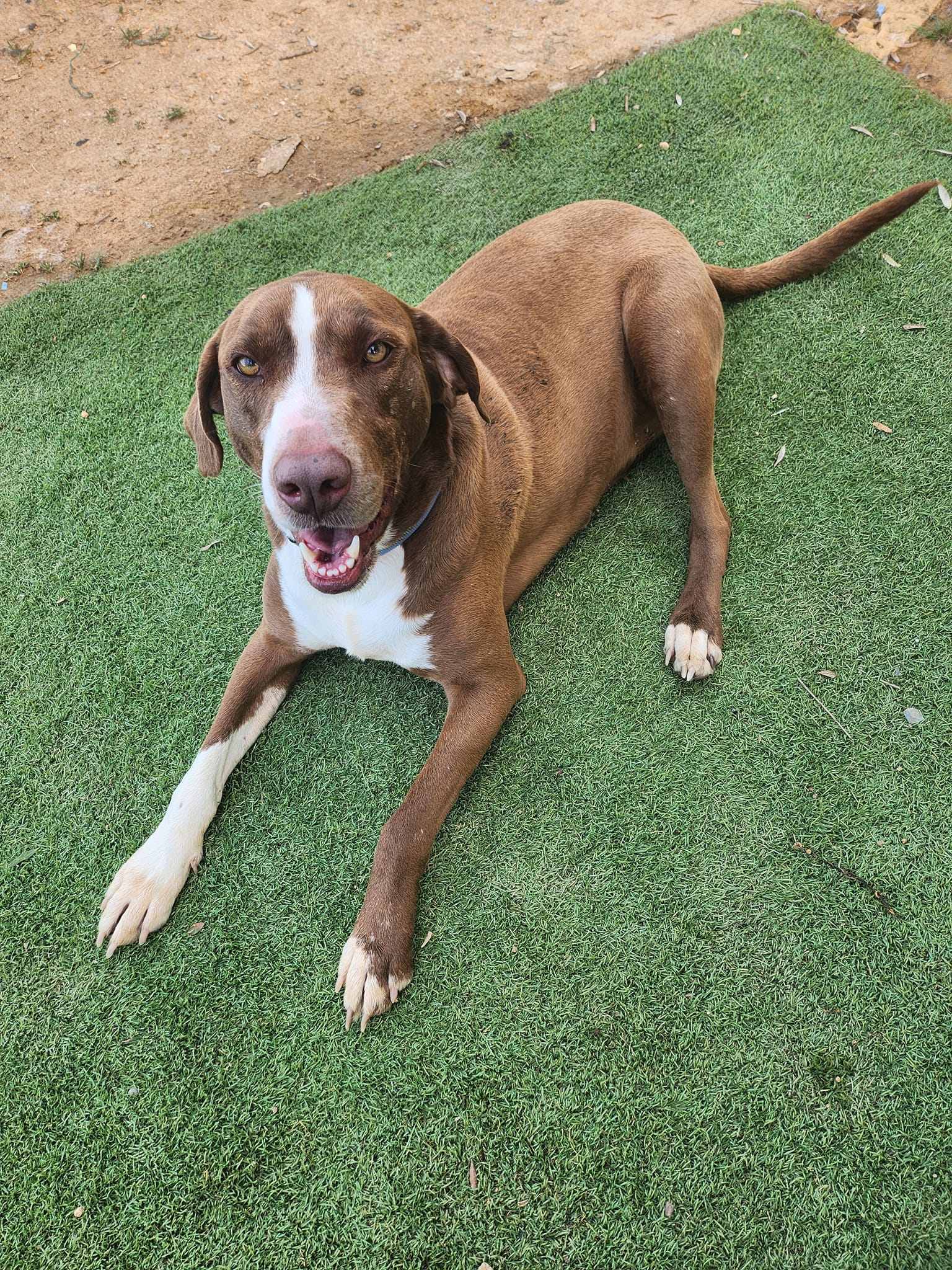 485413763_1088076063358442_792914142344045460_n