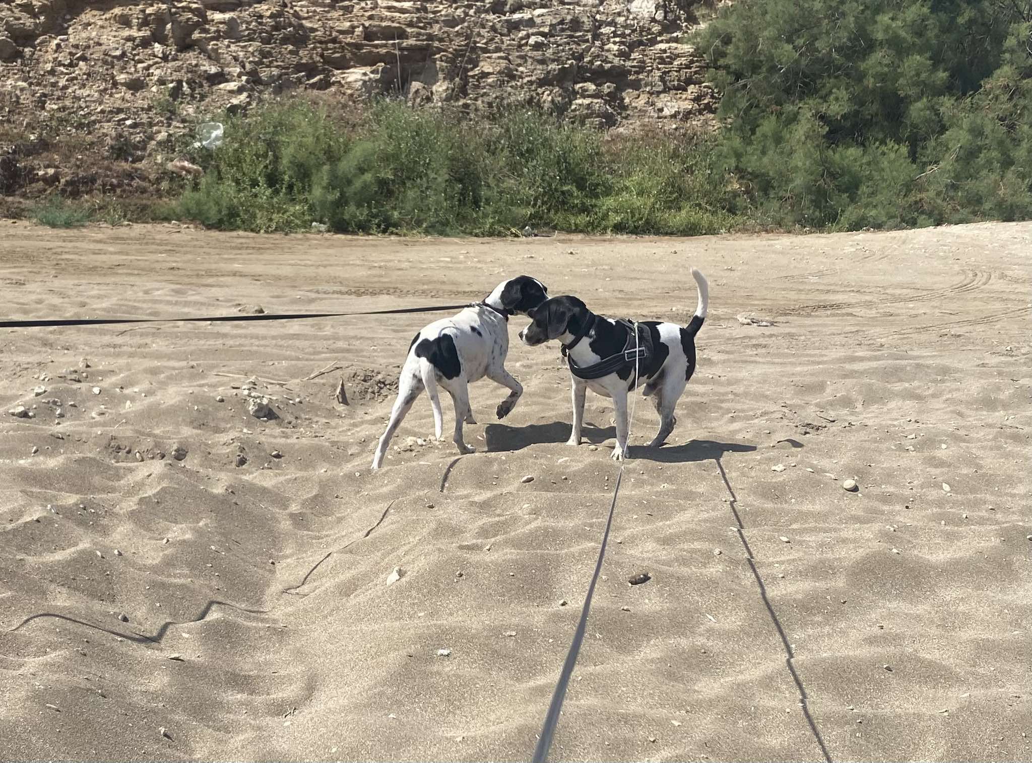 499705404_766651652351972_4788247204394831374_n