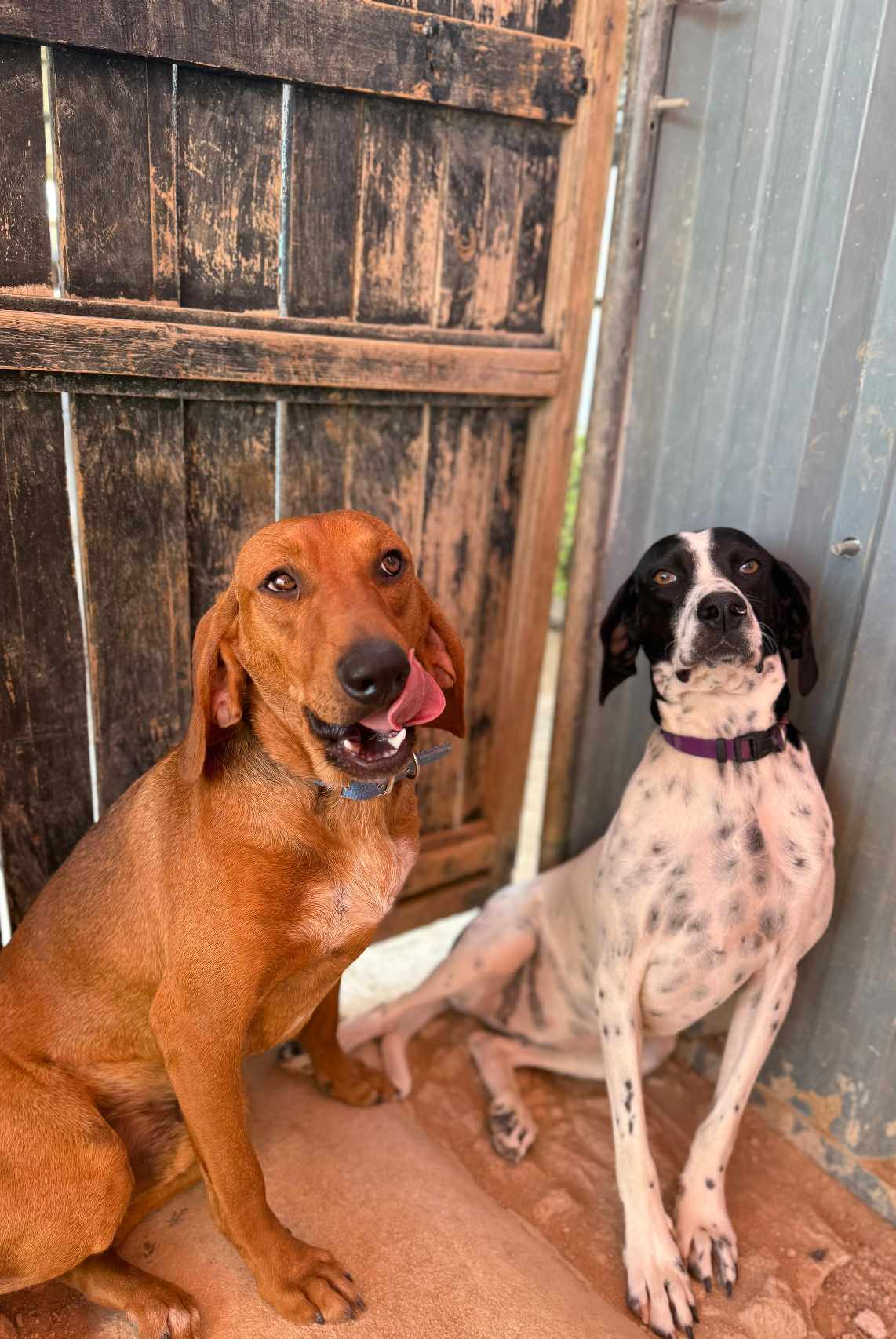 499969147_766651339018670_3549140533377615663_n