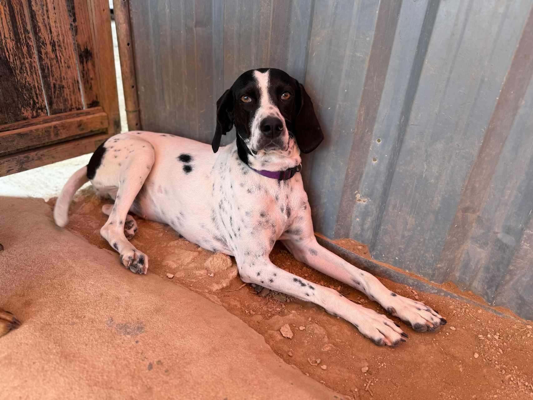 500083361_766651272352010_3583315513940135657_n