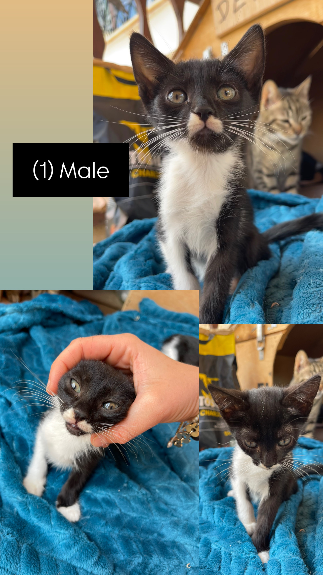 71789E66-0043-497B-B610-956B8FAA9282