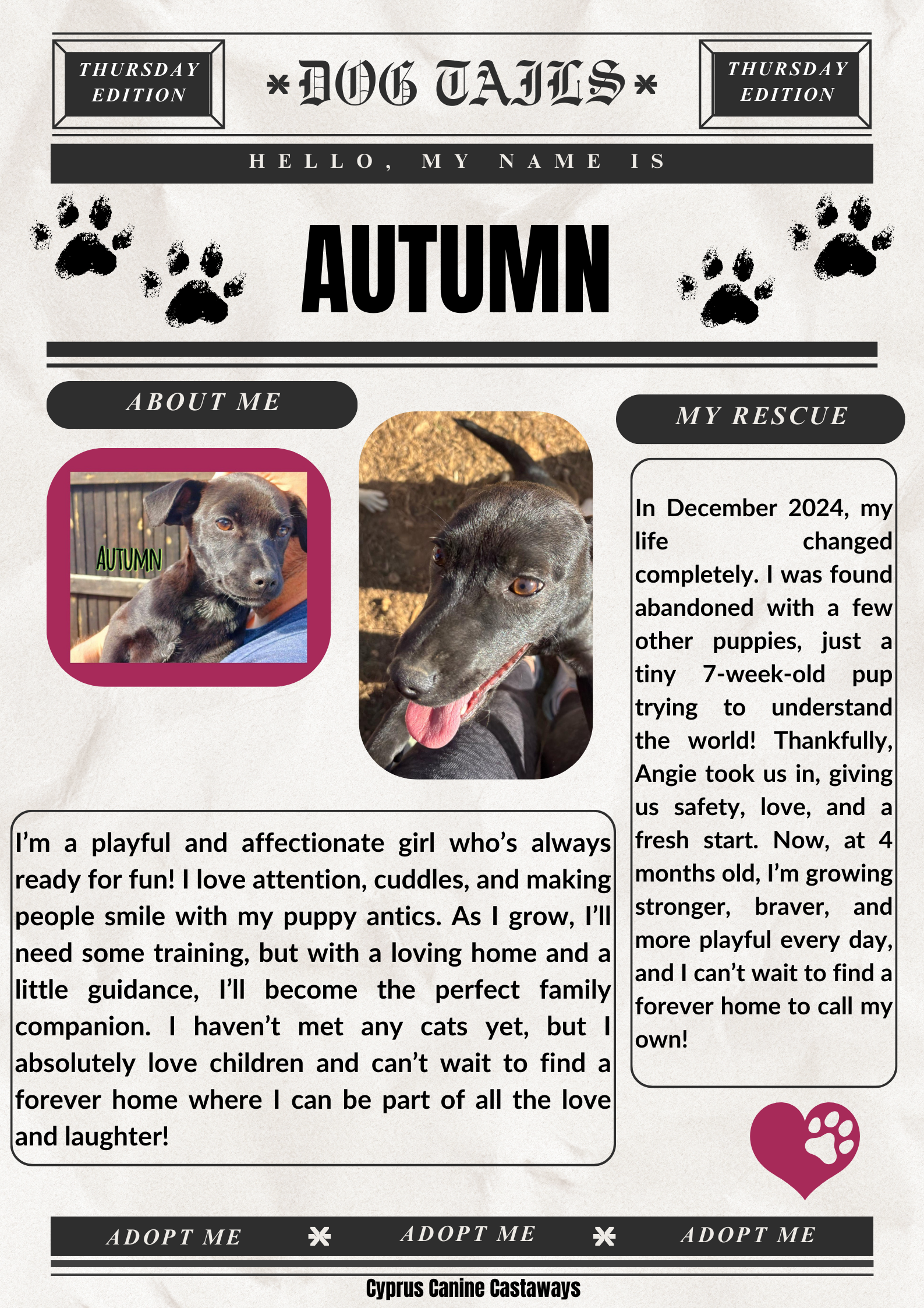 AUTUMN-BULLETIN