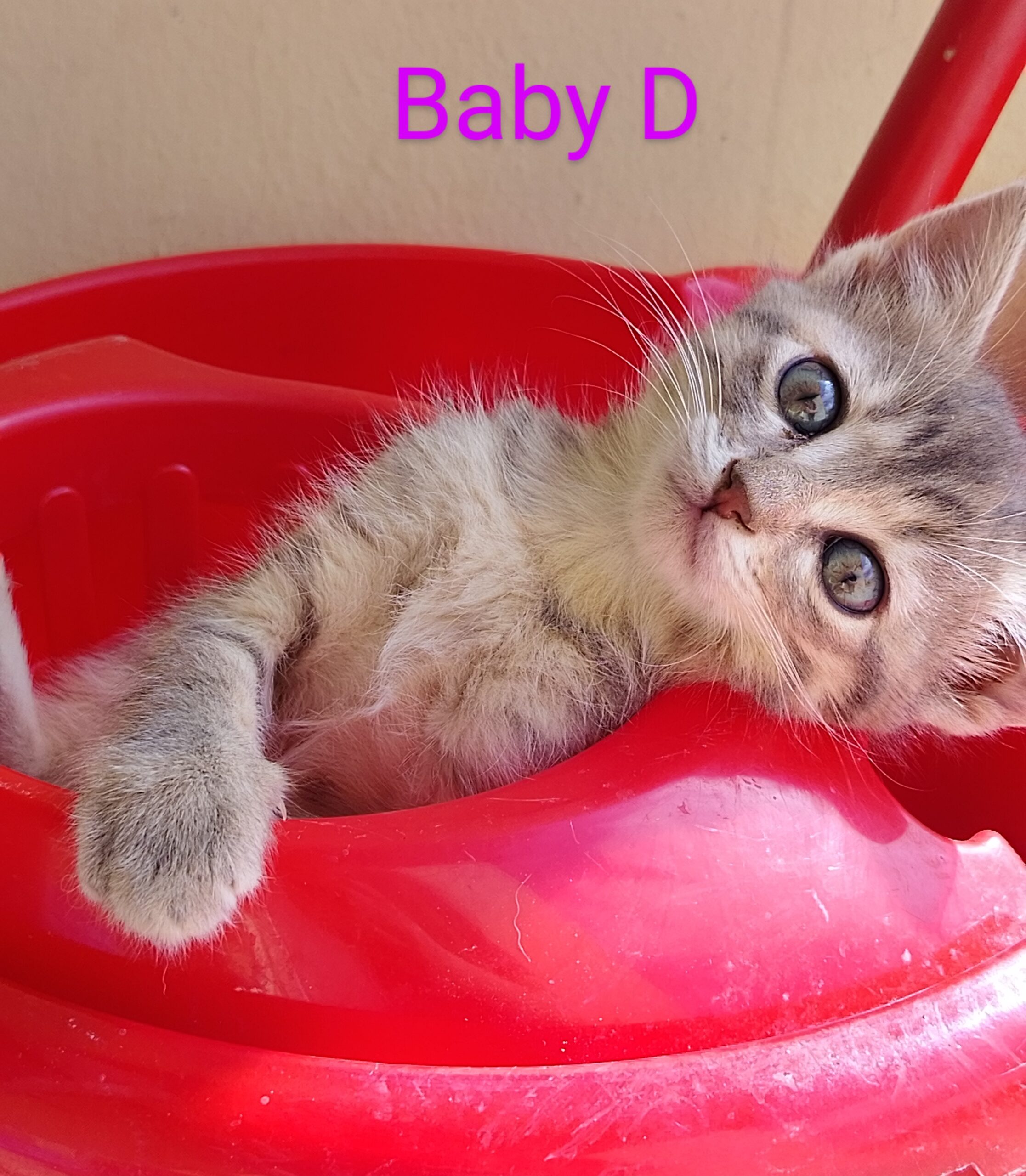 IMG_20250522_1632452