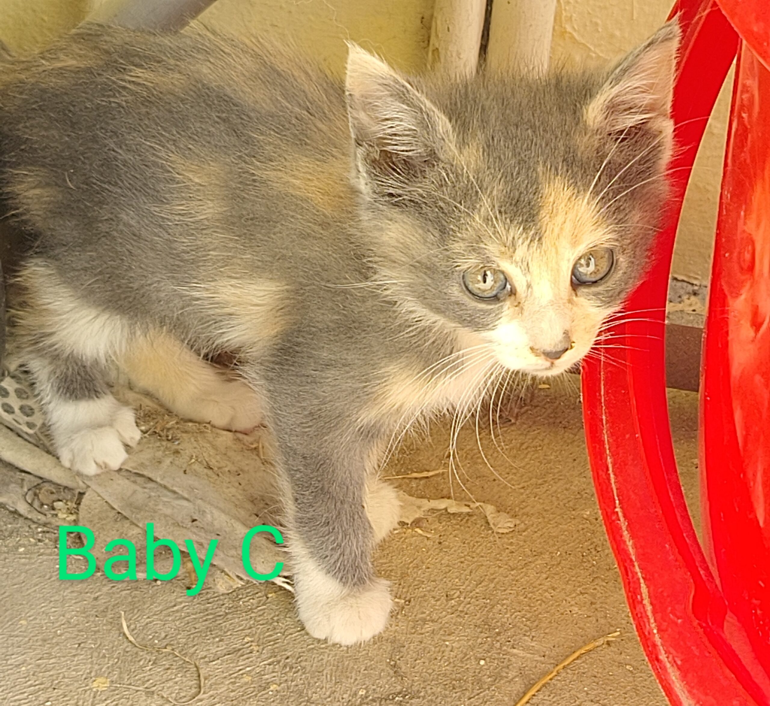 IMG_20250522_1632582