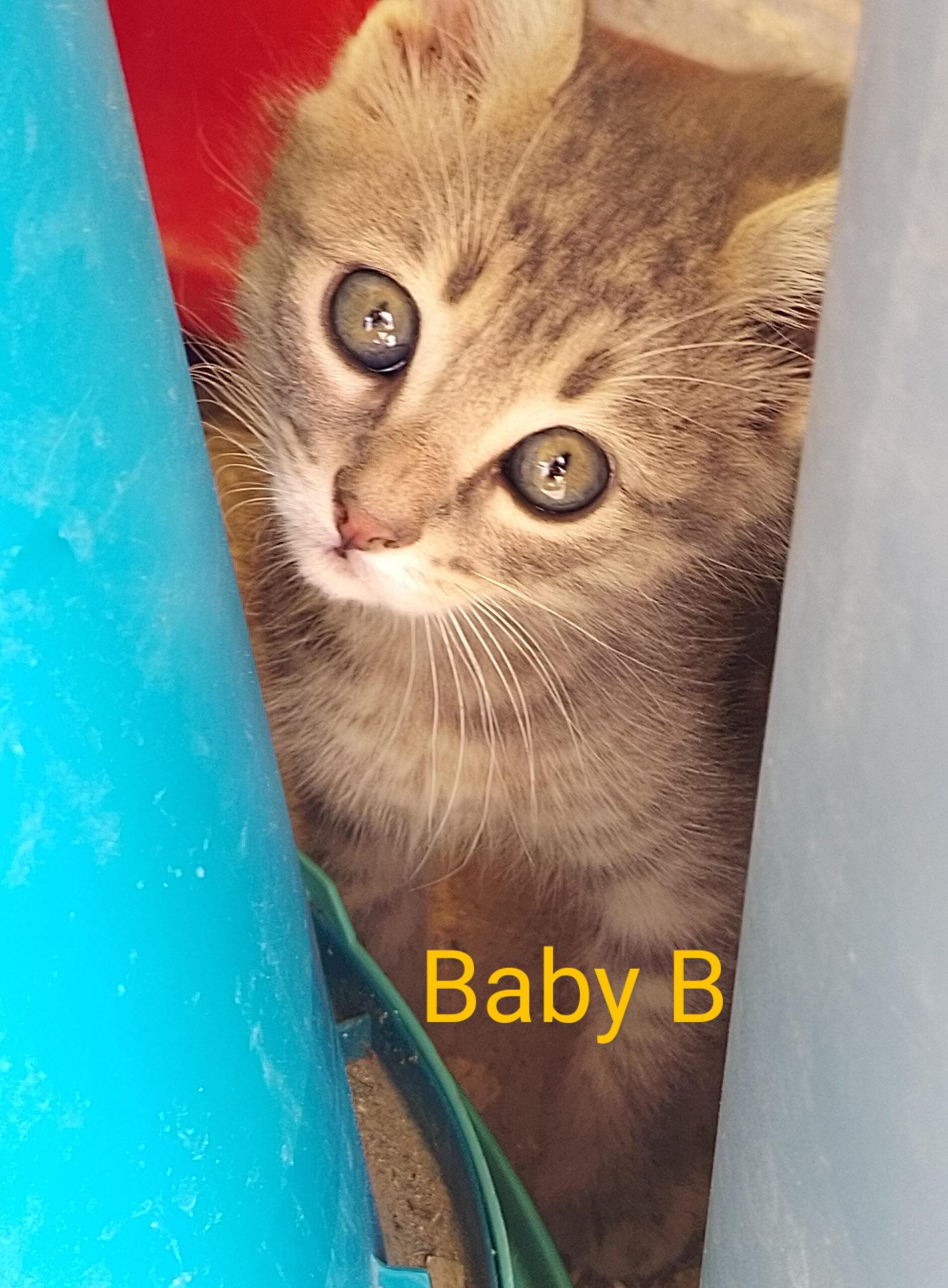 IMG_20250522_1633062