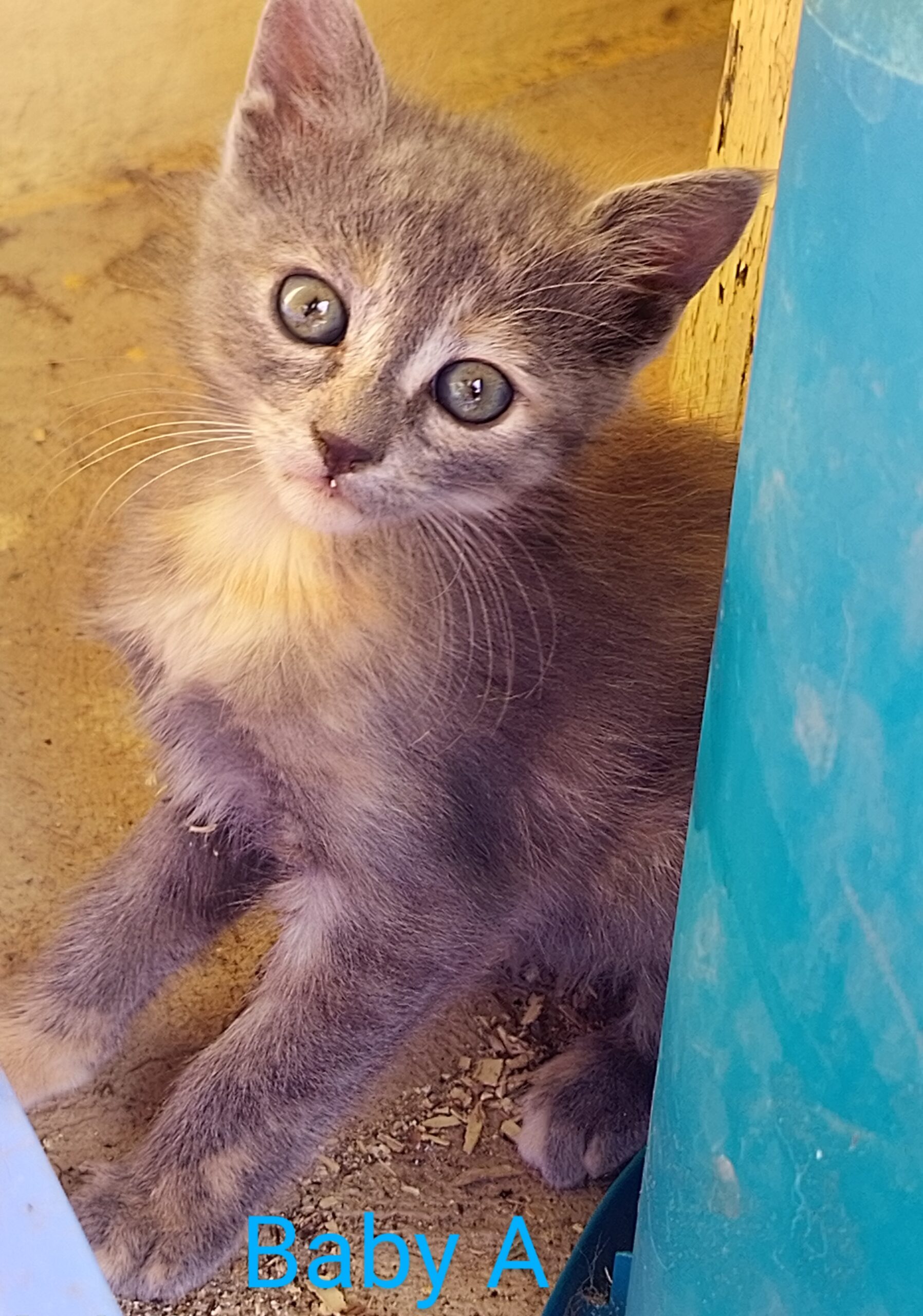 IMG_20250522_1633112