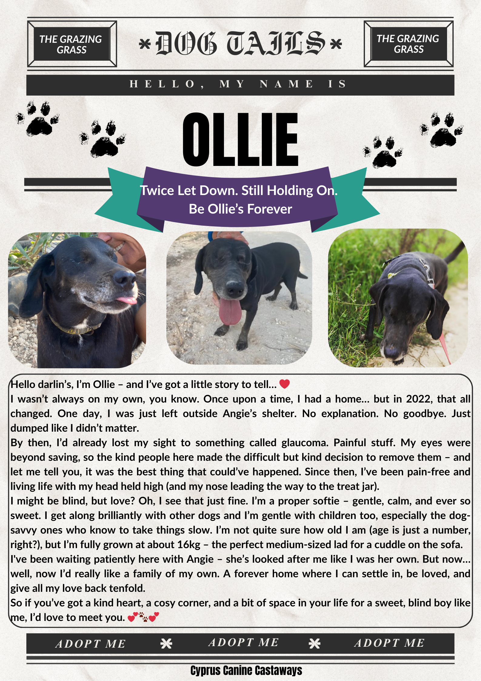 OLLIE-BULLETIN