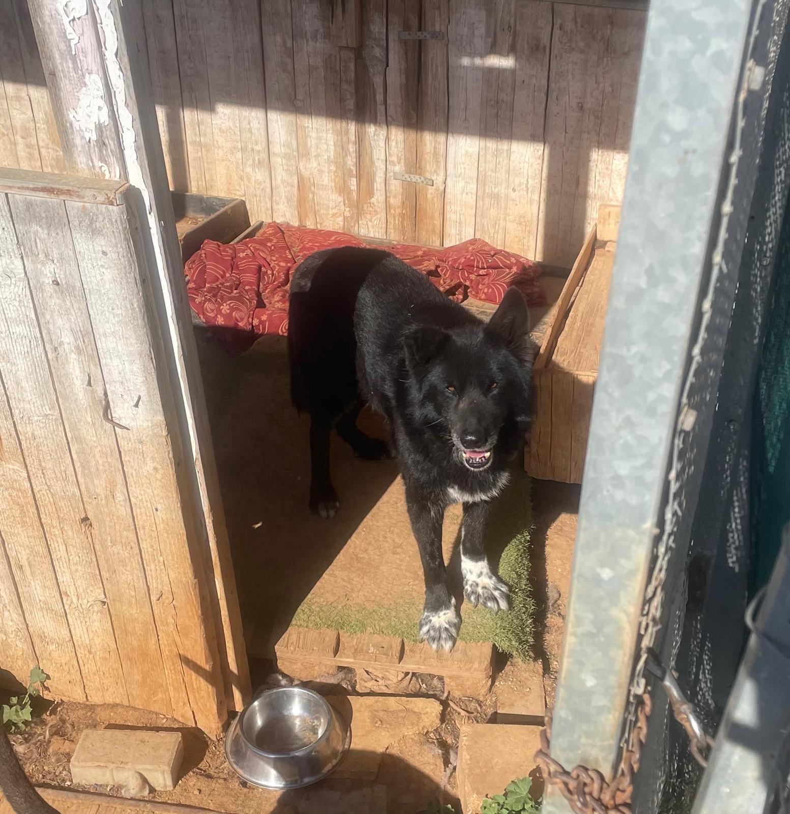 b76f16f8-cbaf-4b4a-a90e-13371d68ad60