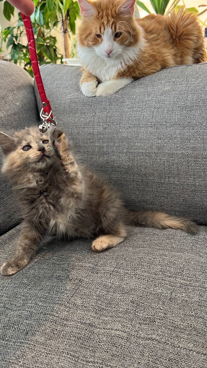 photo_2025-05-01_18-39-07