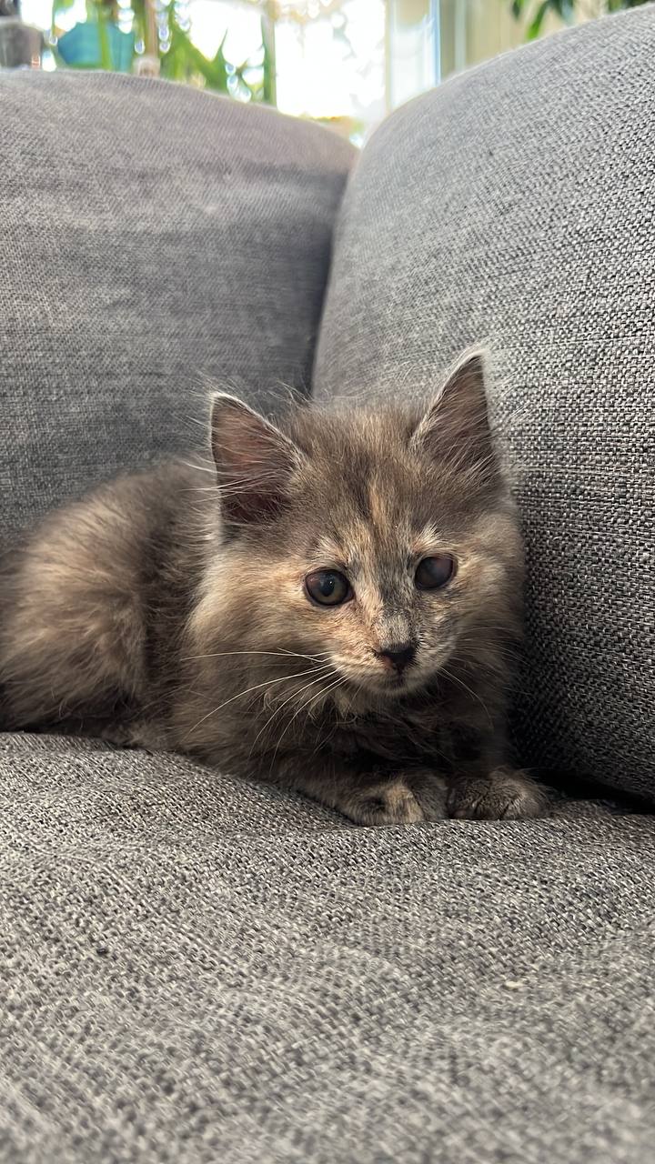 photo_2025-05-01_18-39-08