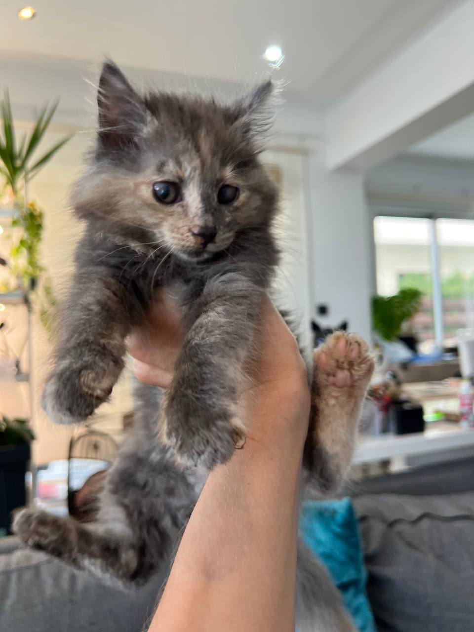 photo_2025-05-01_18-39-10