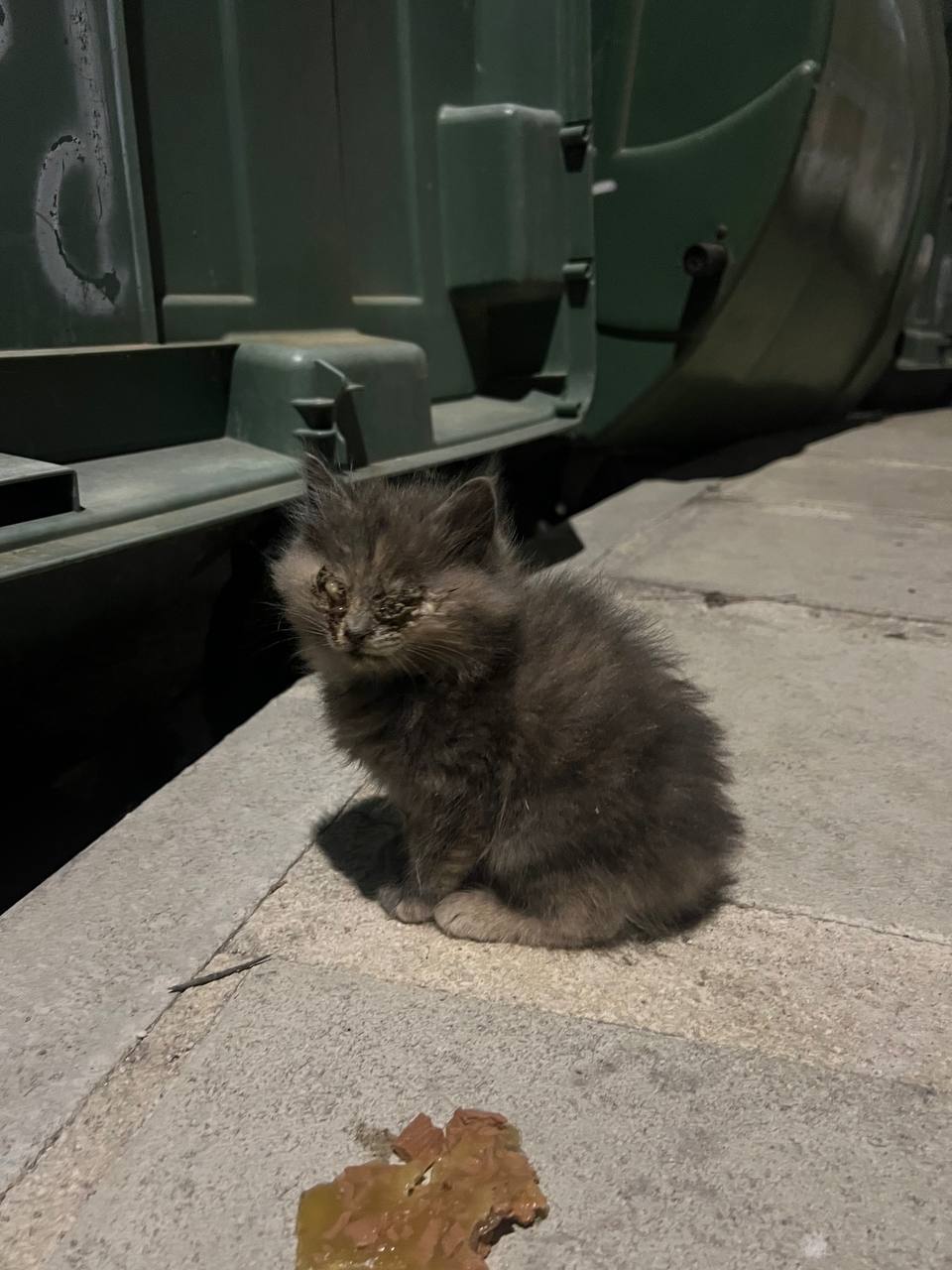 photo_2025-05-01_18-39-11