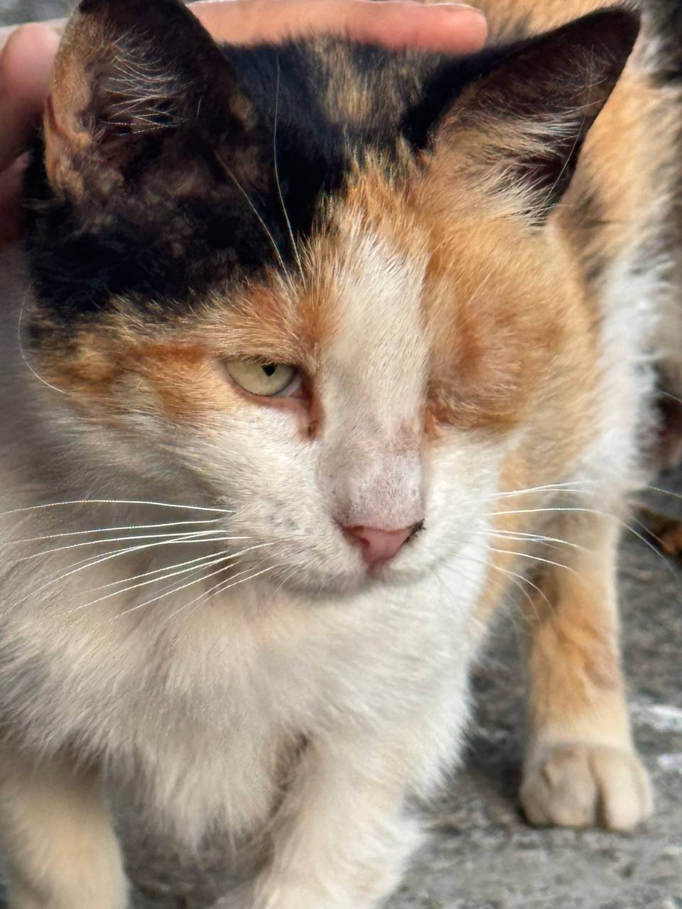 photo_2025-05-01_19-09-07