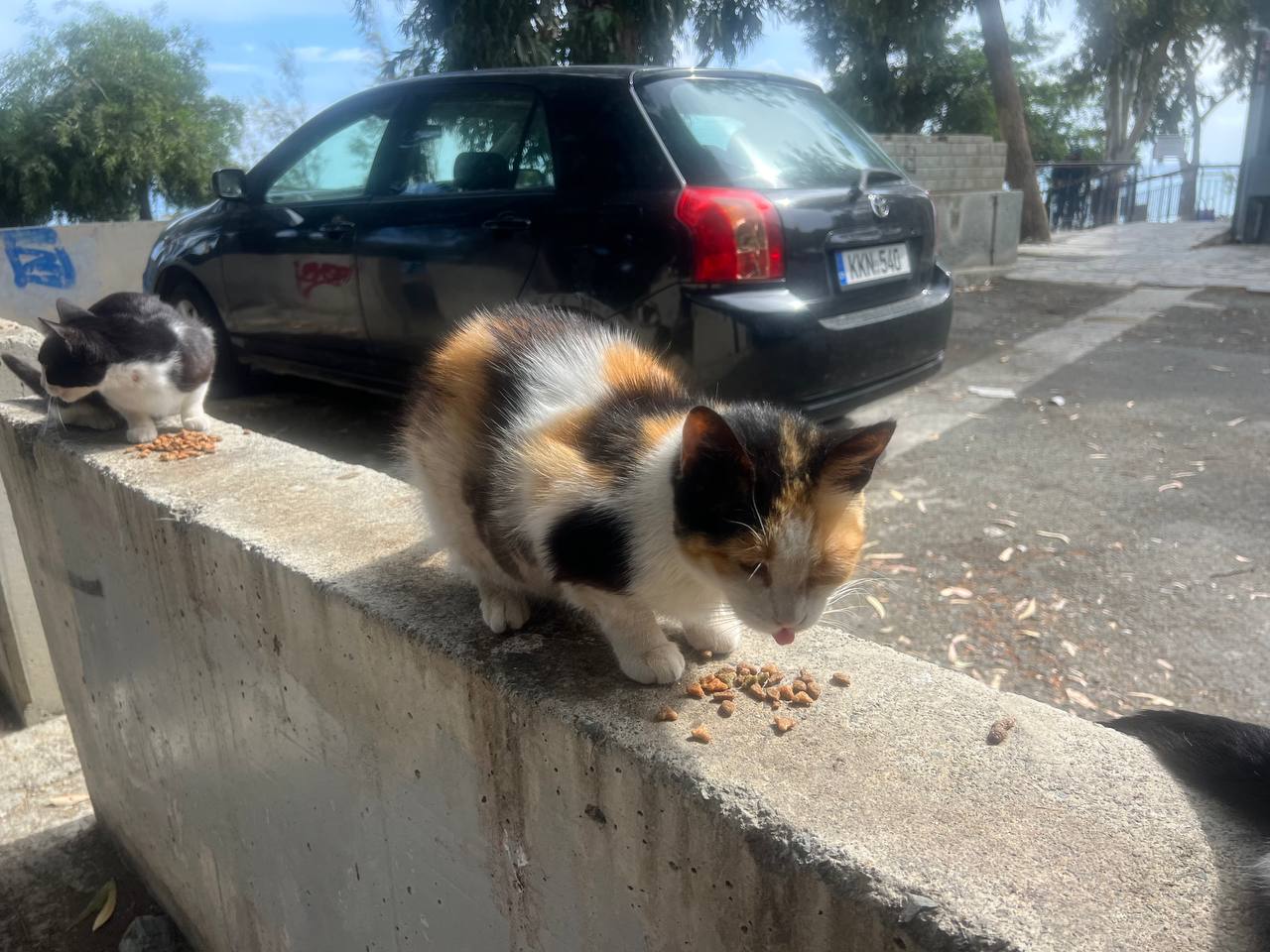 photo_2025-05-02_15-52-38